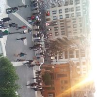 Mian Mujahid的照片