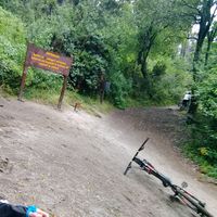 Julian De Luca's Photo