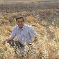 Dariush Irani's Photo