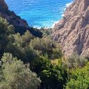 Lycian Way Trekking's picture