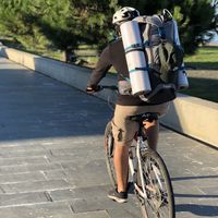 Pouya Saadat的照片