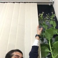 Davt Mkrtchyan的照片