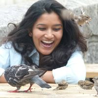 Hricha Toplewar的照片