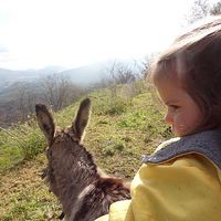 Sebastian  Llano的照片