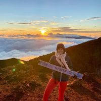 Camille Pannetier's Photo