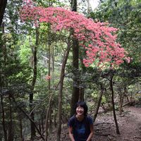 Tomoko Tanabe's Photo