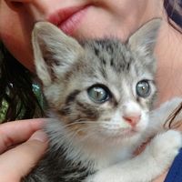 Aline Zanetti's Photo