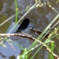 Фотографии пользователя Erik Simon