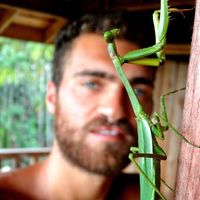 Photos de Ceallach Cornerstone