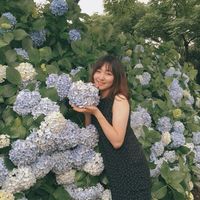 Hyunbin Park的照片