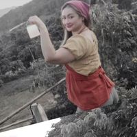 Guitar Summer的照片