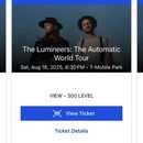 Lumineers Concert's picture