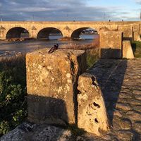 Anne-Marie Haas的照片