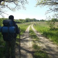 Артем Мельников's Photo