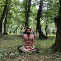 Navid Moghaddam的照片