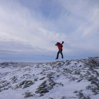 Samantha Oswald的照片