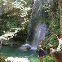 Nicholas Crowe's Photo