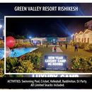 New Year Celebration 's picture