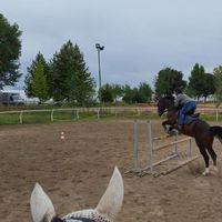 Monica Piccioni's Photo