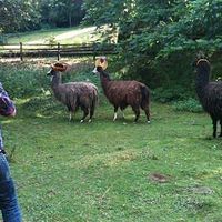 Le foto di Erik Facteau