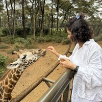 Azadeh Azizi的照片