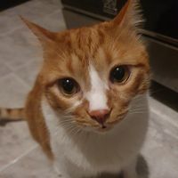 Zdjęcia użytkownika Hanzooo B.