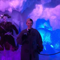 Fotos von Harriet de Vo