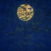 Dalia Pesiri's Photo