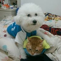 Joeandra Hong的照片