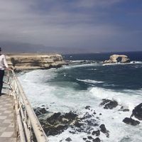 Carolina Sanchez's Photo