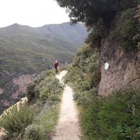 soukaina ham的照片