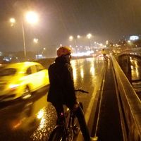 mateo quintero的照片