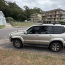 Road Trip 2026 🙋‍♂️'s picture