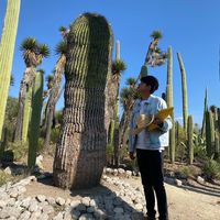 Jaime+Iarin Victoriano+Ascencio's Photo