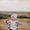 Ayoub Hachimi's Photo