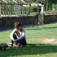 JULIA.BELLIARD's Photo