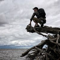 Robert McGuire's Photo