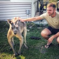 james markham's Photo