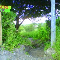 Zdjęcia użytkownika Cintia Calderon