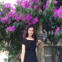 Halide Çelik的照片