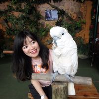 Asami Toyoda's Photo