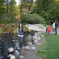 Elena Voronova's Photo