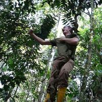 David Parent's Photo