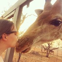 Johanna Merz的照片