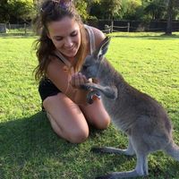 Lianne van der Poel的照片