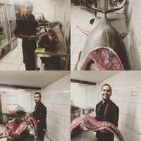 Photos de Iván Vásquez