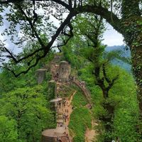 mohamad salimi's Photo