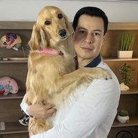 Camilo Peña's Photo