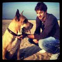 Andrea Bedoni的照片