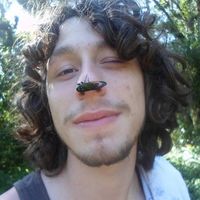 Matheus Dalmolin's Photo